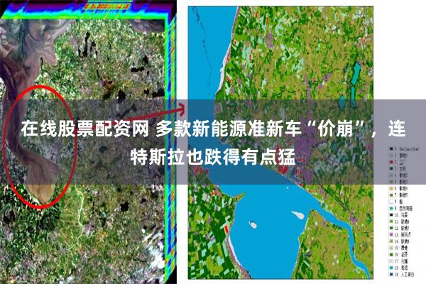 在线股票配资网 多款新能源准新车“价崩”，连特斯拉也跌得有点猛