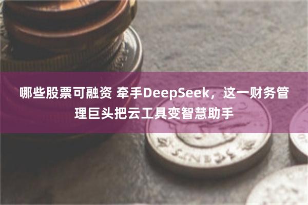 哪些股票可融资 牵手DeepSeek，这一财务管理巨头把云工具变智慧助手