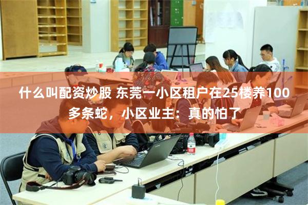 什么叫配资炒股 东莞一小区租户在25楼养100多条蛇，小区业主：真的怕了