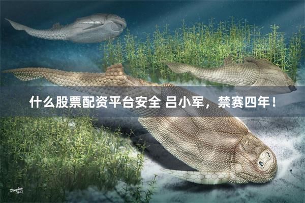 什么股票配资平台安全 吕小军，禁赛四年！