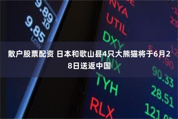 散户股票配资 日本和歌山县4只大熊猫将于6月28日送返中国