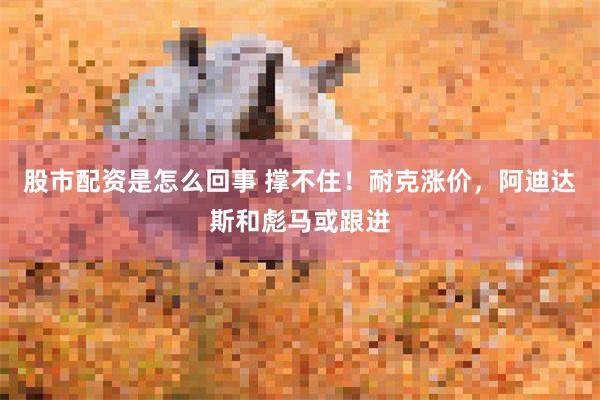 股市配资是怎么回事 撑不住！耐克涨价，阿迪达斯和彪马或跟进