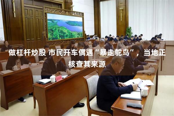 做杠杆炒股 市民开车偶遇“暴走鸵鸟”，当地正核查其来源