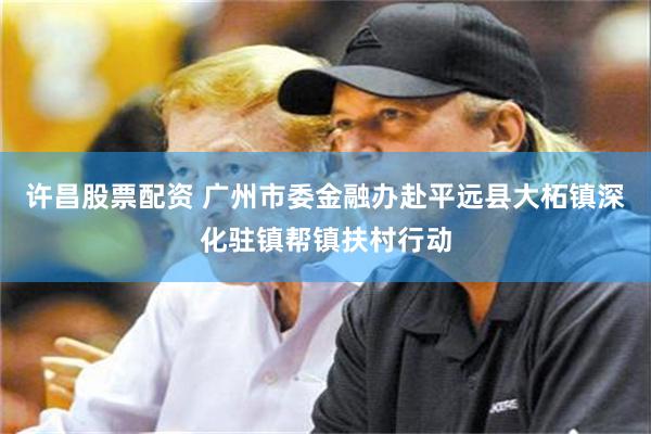 许昌股票配资 广州市委金融办赴平远县大柘镇深化驻镇帮镇扶村行动