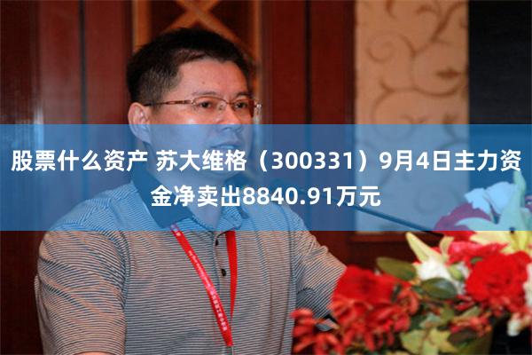 股票什么资产 苏大维格(300331)9月4日主力资金净卖出8840.91万元