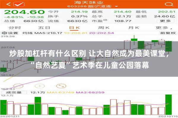 炒股加杠杆有什么区别 让大自然成为最美课堂，“自然艺夏”艺术季在儿童公园落幕