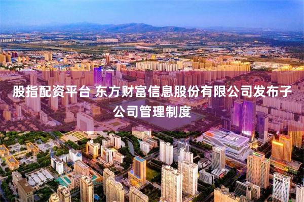 股指配资平台 东方财富信息股份有限公司发布子公司管理制度