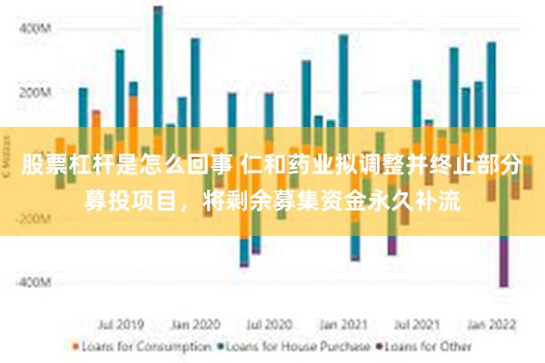 股票杠杆是怎么回事 仁和药业拟调整并终止部分募投项目，将剩余募集资金永久补流