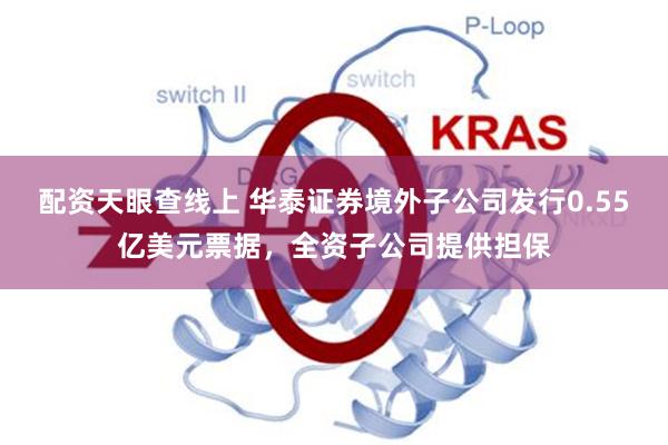 配资天眼查线上 华泰证券境外子公司发行0.55亿美元票据,全资子公司提供担保