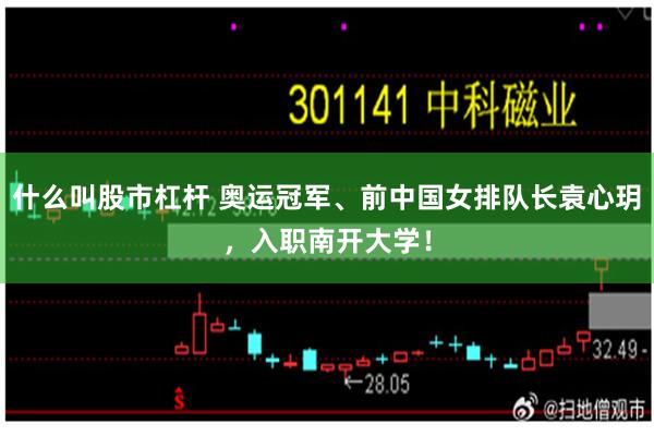 什么叫股市杠杆 奥运冠军、前中国女排队长袁心玥，入职南开大学！