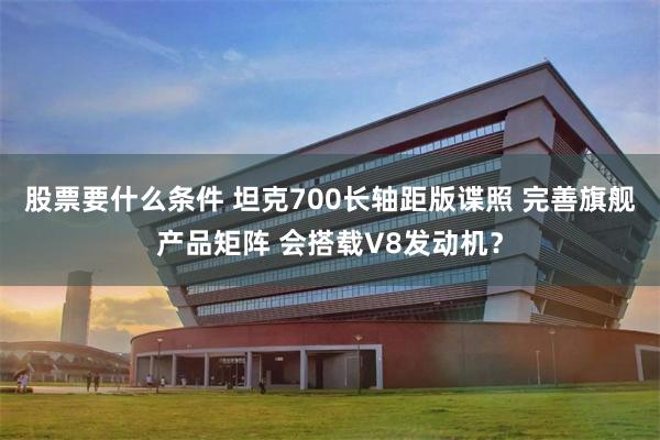股票要什么条件 坦克700长轴距版谍照 完善旗舰产品矩阵 会搭载V8发动机？