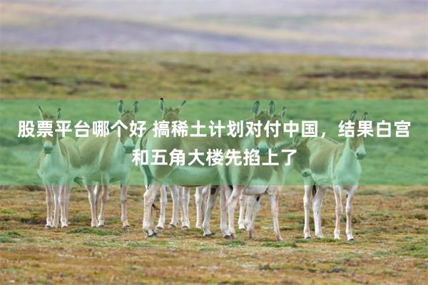 股票平台哪个好 搞稀土计划对付中国，结果白宫和五角大楼先掐上了