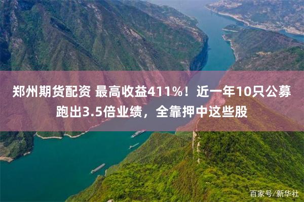 郑州期货配资 最高收益411%！近一年10只公募跑出3.5倍业绩，全靠押中这些股
