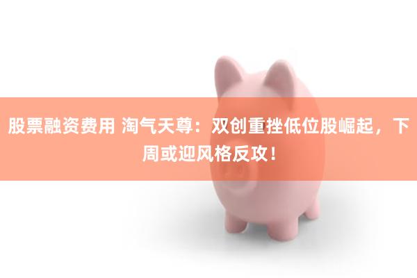股票融资费用 淘气天尊：双创重挫低位股崛起，下周或迎风格反攻！