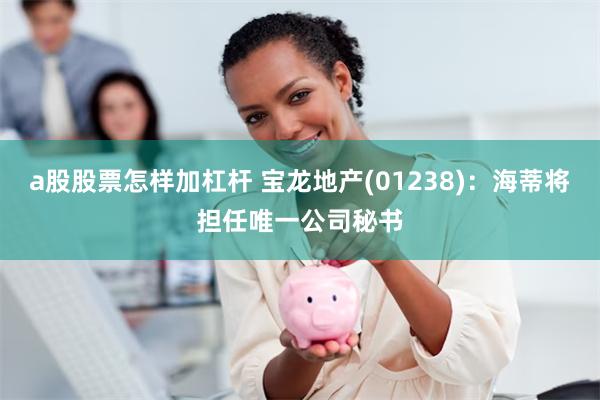 a股股票怎样加杠杆 宝龙地产(01238)：海蒂将担任唯一公司秘书