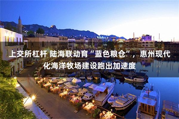 上交所杠杆 陆海联动育“蓝色粮仓”,惠州现代化海洋牧场建设跑出加速度