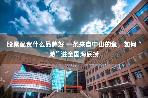 股票配资什么品牌好 一条来自中山的鱼,如何“游”进全国海底捞