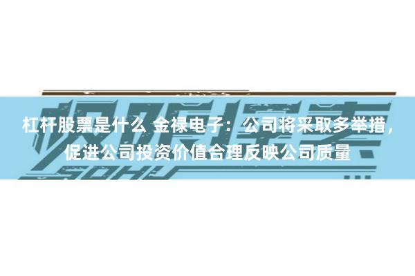 杠杆股票是什么 金禄电子:公司将采取多举措,促进公司投资价值合理反映公司质量
