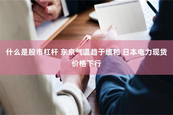 什么是股市杠杆 东京气温趋于缓和 日本电力现货价格下行