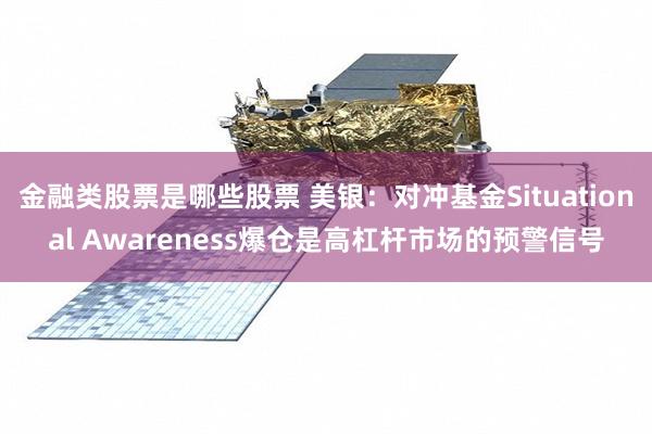 金融类股票是哪些股票 美银:对冲基金Situational Awareness爆仓是高杠杆市场的预警信号