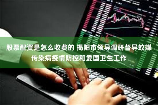 股票配资是怎么收费的 揭阳市领导调研督导蚊媒传染病疫情防控和爱国卫生工作