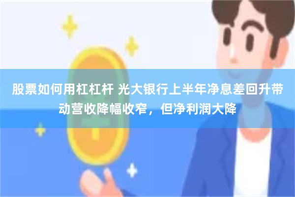 股票如何用杠杠杆 光大银行上半年净息差回升带动营收降幅收窄，但净利润大降
