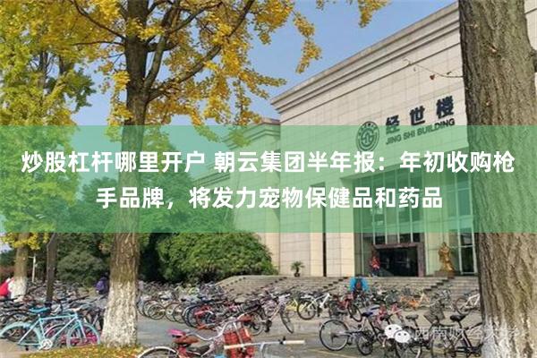 炒股杠杆哪里开户 朝云集团半年报：年初收购枪手品牌，将发力宠物保健品和药品