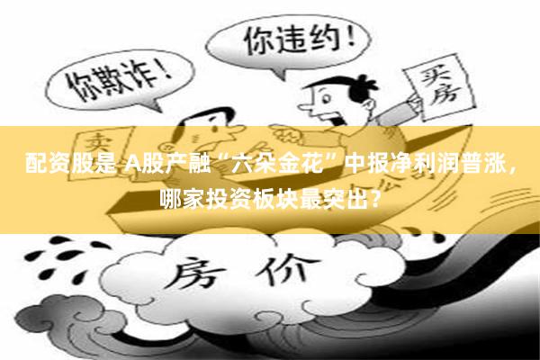 配资股是 A股产融“六朵金花”中报净利润普涨，哪家投资板块最突出？