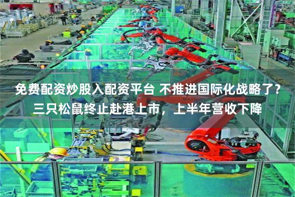 免费配资炒股入配资平台 不推进国际化战略了？三只松鼠终止赴港上市，上半年营收下降