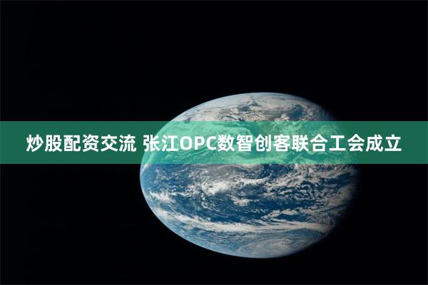 炒股配资交流 张江OPC数智创客联合工会成立