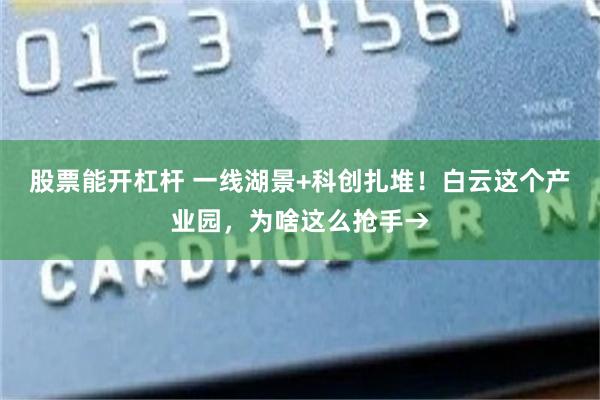 股票能开杠杆 一线湖景+科创扎堆！白云这个产业园，为啥这么抢手→