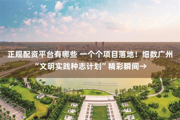 正规配资平台有哪些 一个个项目落地！细数广州“文明实践种志计划”精彩瞬间→