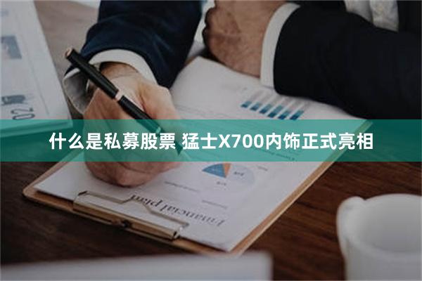 什么是私募股票 猛士X700内饰正式亮相