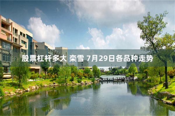 股票杠杆多大 栾雪 7月29日各品种走势
