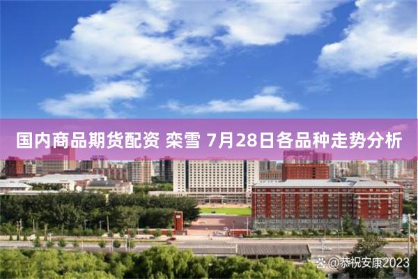 国内商品期货配资 栾雪 7月28日各品种走势分析