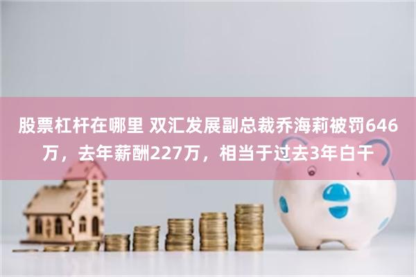 股票杠杆在哪里 双汇发展副总裁乔海莉被罚646万，去年薪酬227万，相当于过去3年白干