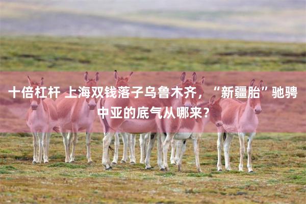 十倍杠杆 上海双钱落子乌鲁木齐，“新疆胎”驰骋中亚的底气从哪来？