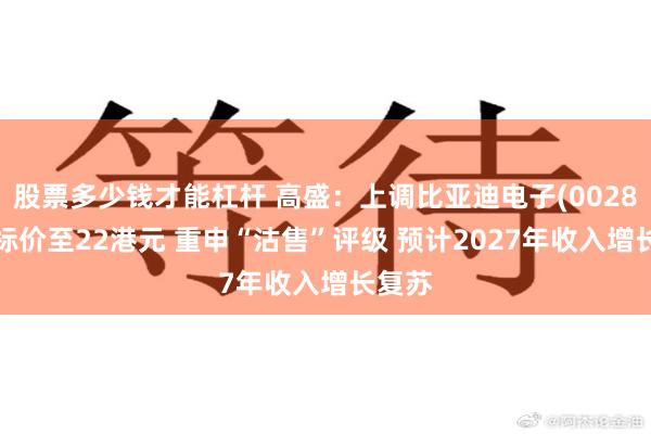 股票多少钱才能杠杆 高盛：上调比亚迪电子(00285)目标价至22港元 重申“沽售”评级 预计2027年收入增长复苏